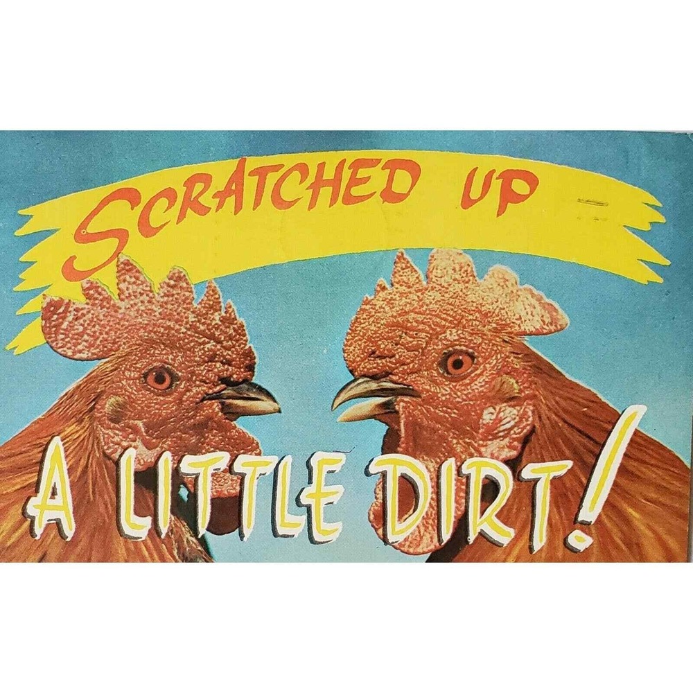 Roosters Scratched Up A Little Dirt Greetings Lake Como‎ PA Funny Humorous